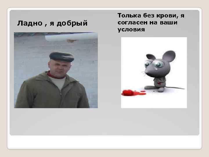 Ладно , я добрый Толька без крови, я согласен на ваши условия 
