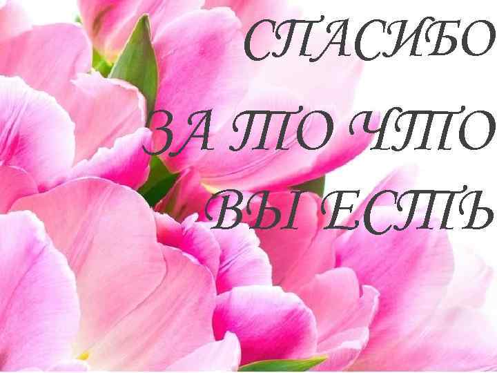 СПАСИБО ЗА ТО ЧТО ВЫ ЕСТЬ 