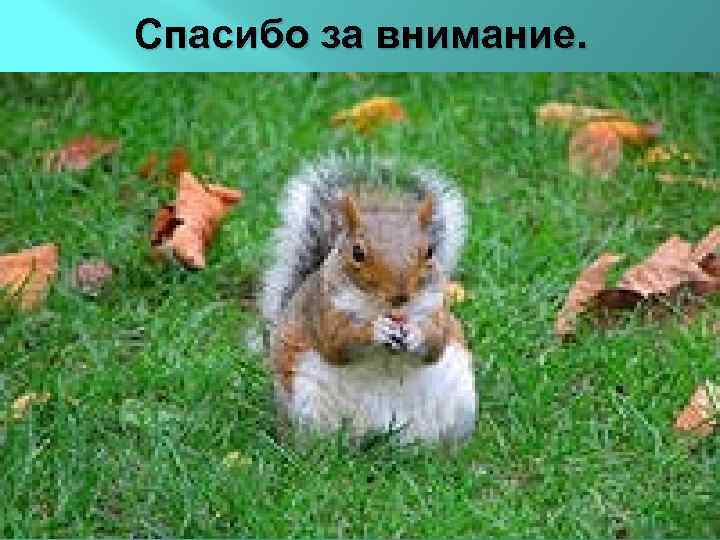 Спасибо за внимание. 