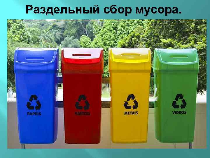 Раздельный сбор мусора. 