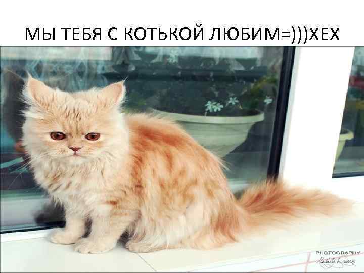 МЫ ТЕБЯ С КОТЬКОЙ ЛЮБИМ=)))ХЕХ 