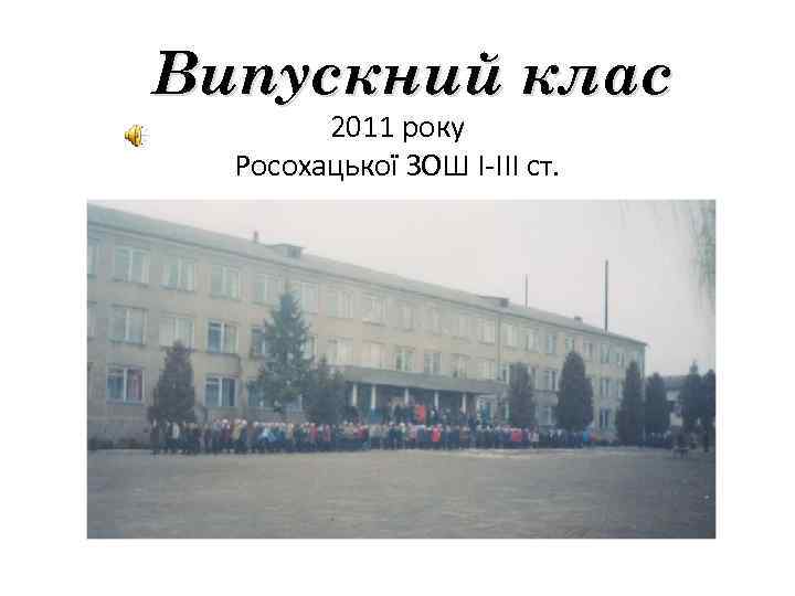 Випускний клас 2011 року Росохацької ЗОШ І-ІІІ ст. 
