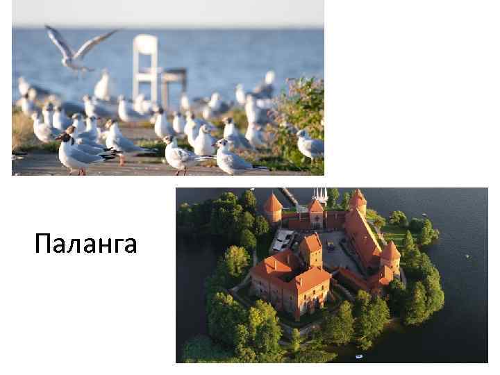 Паланга 