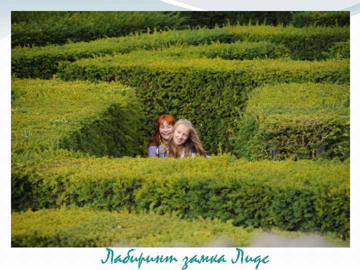 Лабиринт замка Лидс 