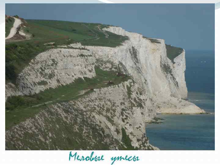 Меловые утесы 