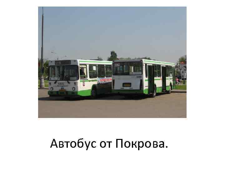 Автобус от Покрова. 