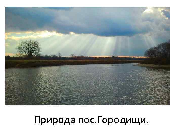 Природа пос. Городищи. 
