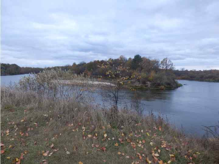 Излучина реки Клязьмы 