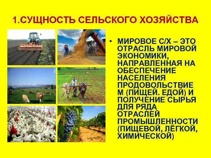 Мировое сельское хозяйство 10 класс. Мировое сельское хозяйство. Отрасли мирового сельского хозяйства.