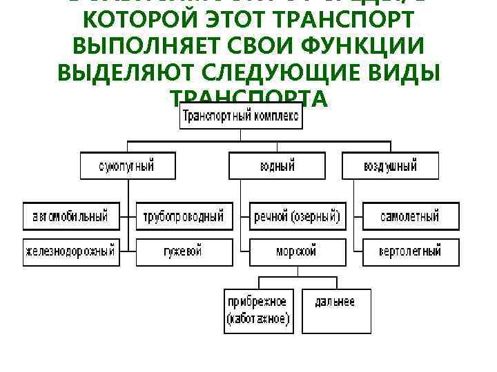 Функции выполняемые транспортом. Транспортная система России. Транспортная структура РФ. Функции транспортной системы у животных. Функции которые выполняет транспорт.