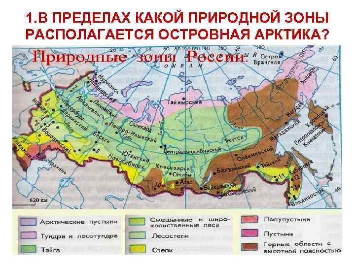 1. В ПРЕДЕЛАХ КАКОЙ ПРИРОДНОЙ ЗОНЫ РАСПОЛАГАЕТСЯ ОСТРОВНАЯ АРКТИКА? 