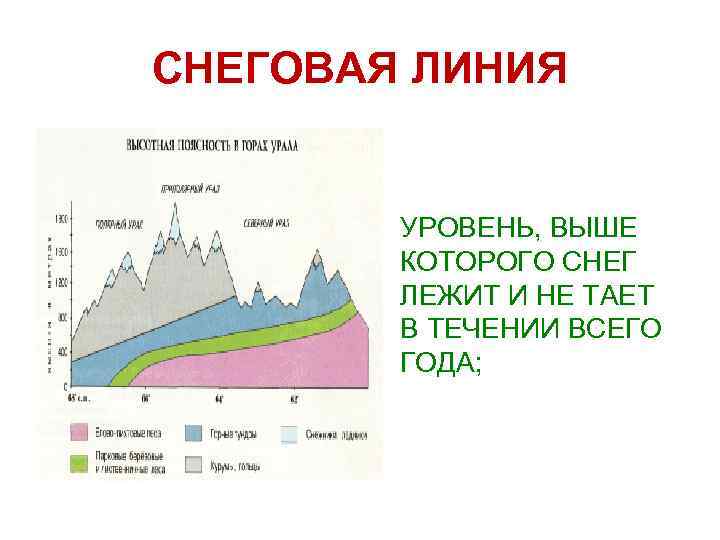 Какой природный процесс отображен на схеме снеговая линия фирновый бассейн