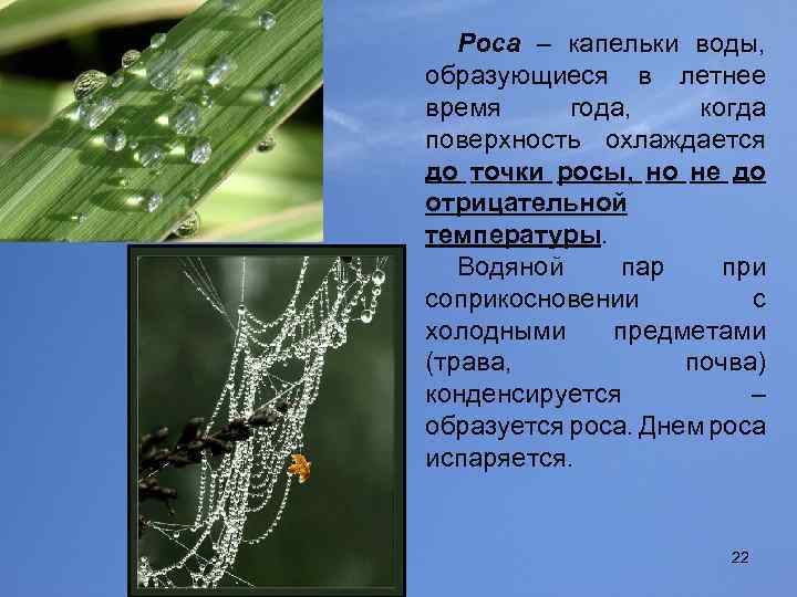 Роса – капельки воды, образующиеся в летнее время года, когда поверхность охлаждается до точки