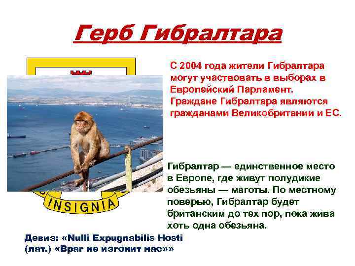 Герб Гибралтара C 2004 года жители Гибралтара могут участвовать в выборах в Европейский Парламент.