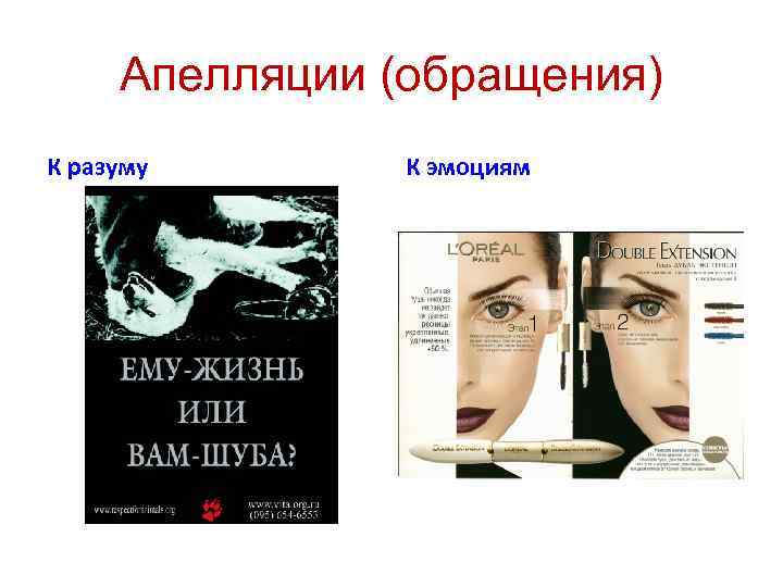 Апелляции (обращения) К разуму К эмоциям 