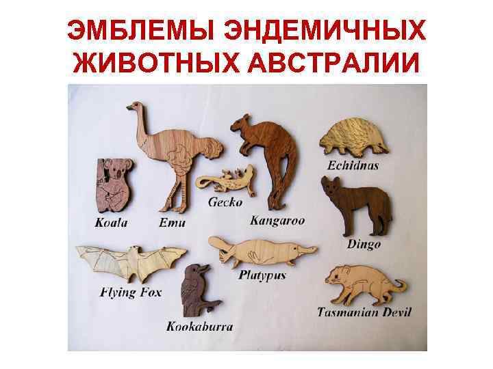 ЭМБЛЕМЫ ЭНДЕМИЧНЫХ ЖИВОТНЫХ АВСТРАЛИИ 