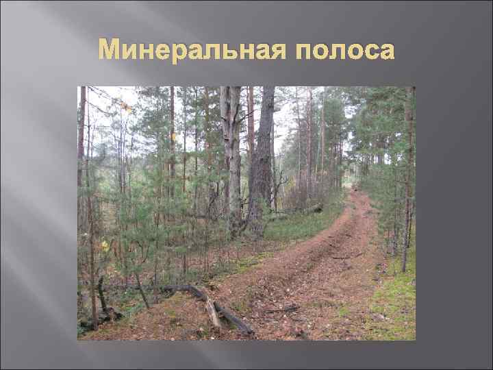 Минеральная полоса 