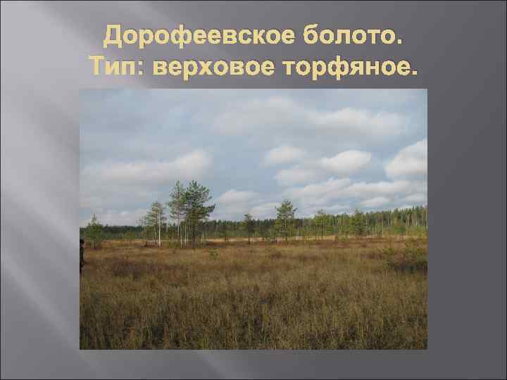 Дорофеевское болото. Тип: верховое торфяное. 