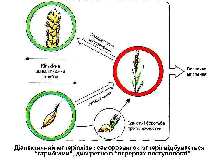 Діалектичний матеріалізм: саморозвиток матерії відбувається “стрибками”, дискретно в “перервах поступовості”. 
