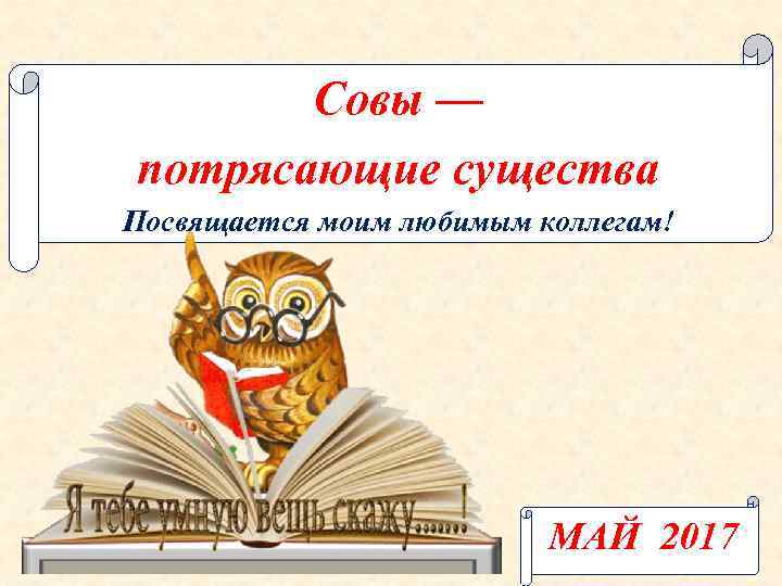 Cовы — потрясающие существа Посвящается моим любимым коллегам! МАЙ 2017 