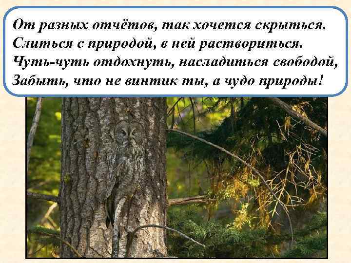 От разных отчётов, так хочется скрыться. Слиться с природой, в ней раствориться. Чуть-чуть отдохнуть,