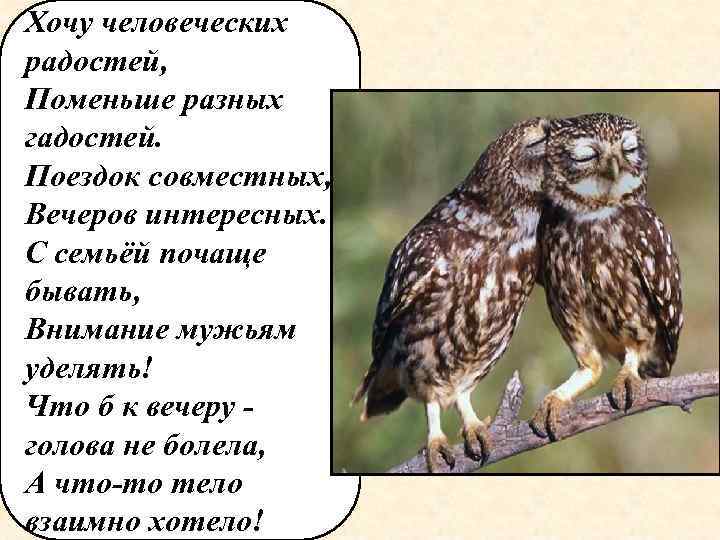 Хочу человеческих радостей, Поменьше разных гадостей. Поездок совместных, Вечеров интересных. С семьёй почаще бывать,