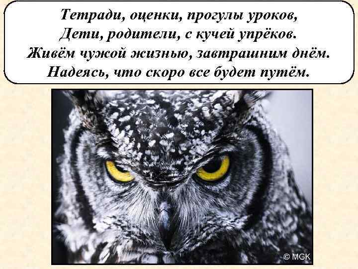 Тетради, оценки, прогулы уроков, Дети, родители, с кучей упрёков. Живём чужой жизнью, завтрашним днём.