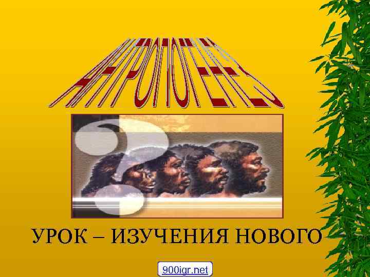 УРОК – ИЗУЧЕНИЯ НОВОГО 900 igr. net 