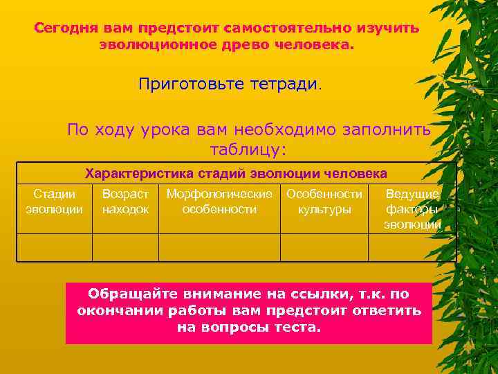 Сегодня вам предстоит самостоятельно изучить эволюционное древо человека. Приготовьте тетради. По ходу урока вам