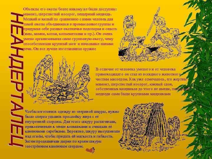 Объекты его охоты более никому не были доступны: мамонт, шерстистый носорог, пещерный медведь. Мелкий