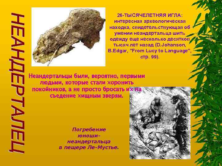 26 -ТЫСЯЧЕЛЕТНЯЯ ИГЛА: интересная археологическая находка, свидетельствующая об умении неандертальца шить одежду еще несколько
