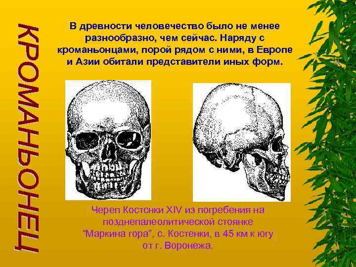 В древности человечество было не менее разнообразно, чем сейчас. Наряду с кроманьонцами, порой рядом