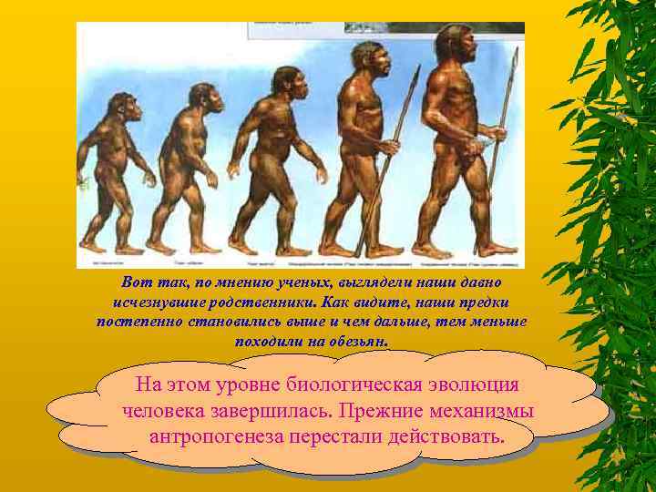 Вот так, по мнению ученых, выглядели наши давно исчезнувшие родственники. Как видите, наши предки