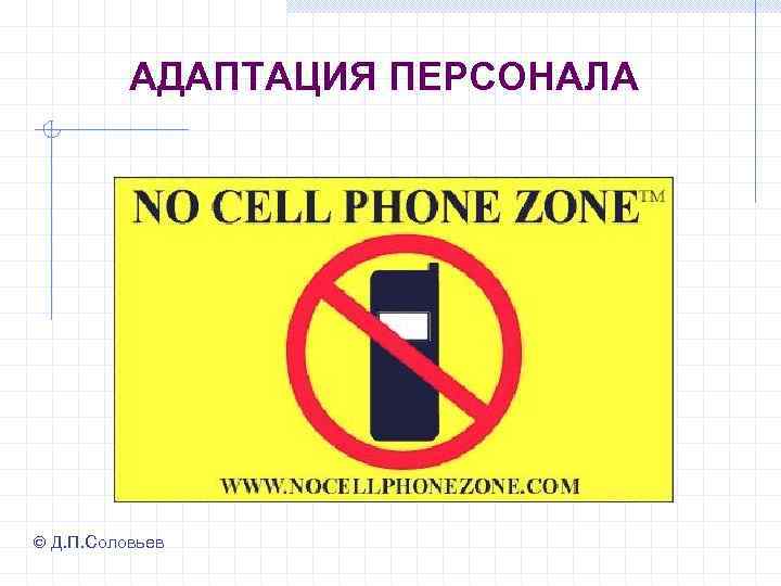 АДАПТАЦИЯ ПЕРСОНАЛА Д. П. Соловьев 