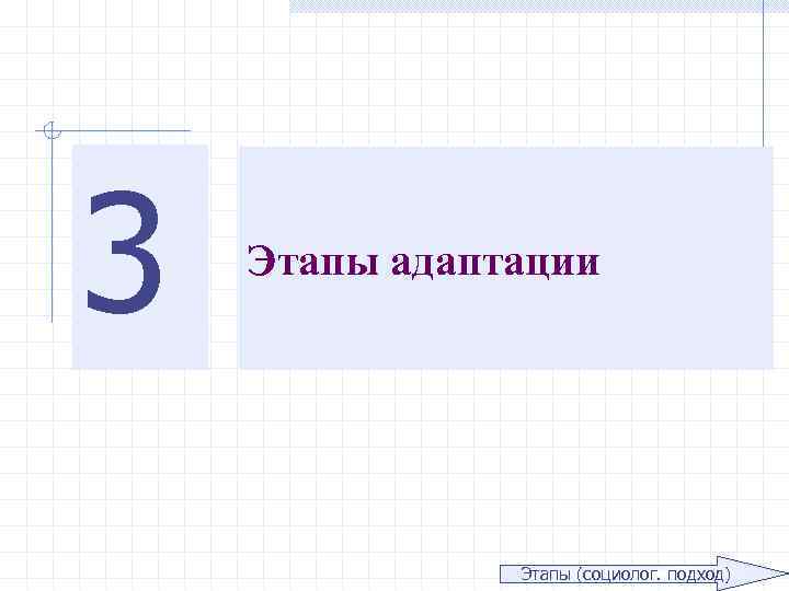 3 Этапы адаптации Этапы (социолог. подход) 