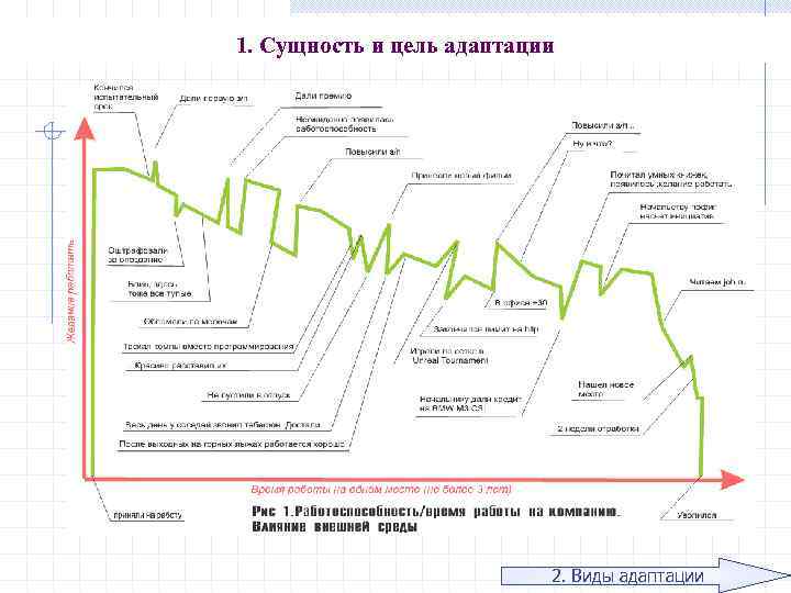 1. Сущность и цель адаптации 2. Виды адаптации 