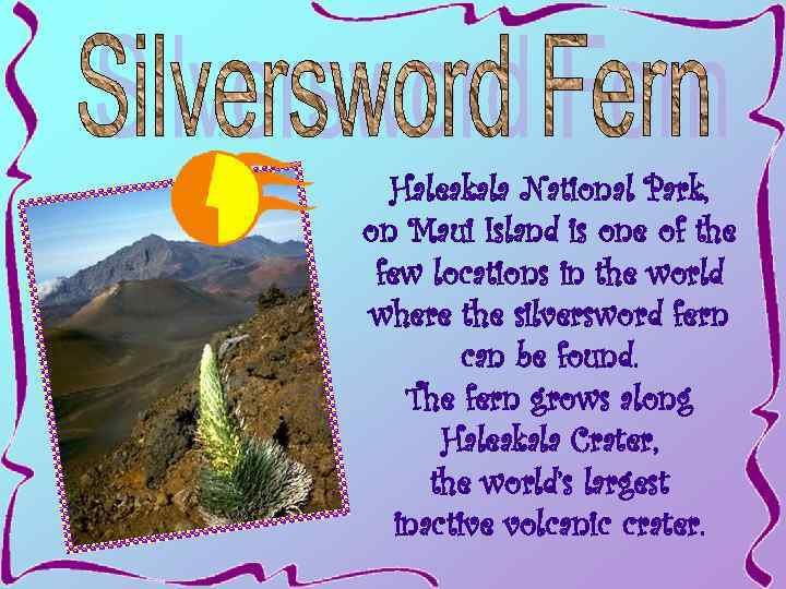 Haleakala National Park, on Maui Island is one of the few locations in the