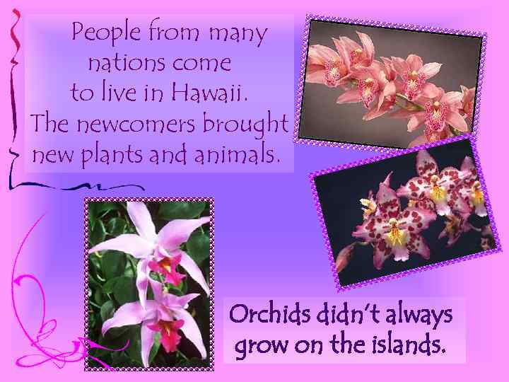 People from many nations come to live in Hawaii. The newcomers brought new plants