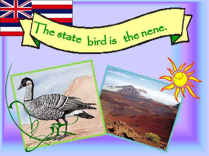 The state the bird is ne. ne 