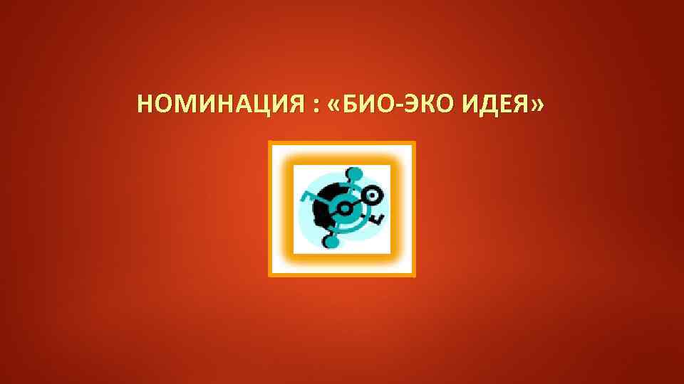  НОМИНАЦИЯ : «БИО-ЭКО ИДЕЯ» 
