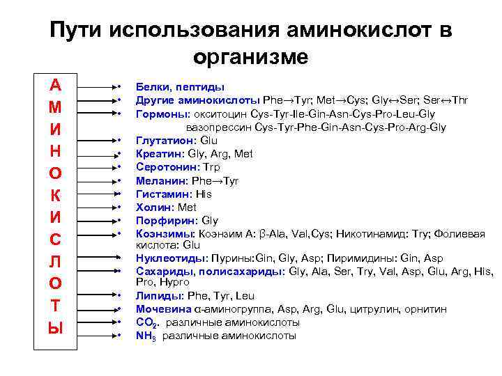 Пути использования аминокислот в организме А М И Н О К И С Л