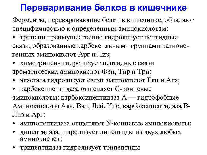 Переваривание белков в кишечнике Ферменты, переваривающие белки в кишечнике, обладают специфичностью к определенным аминокислотам: