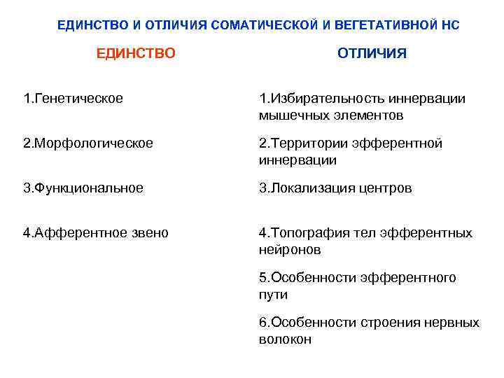 ЕДИНСТВО И ОТЛИЧИЯ СОМАТИЧЕСКОЙ И ВЕГЕТАТИВНОЙ НС ЕДИНСТВО ОТЛИЧИЯ 1. Генетическое 1. Избирательность иннервации