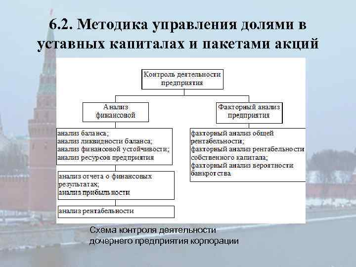 6. 2. Методика управления долями в уставных капиталах и пакетами акций Схема контроля деятельности