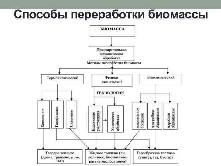 Способы переработки биомассы 