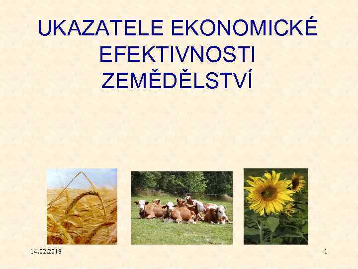 UKAZATELE EKONOMICKÉ EFEKTIVNOSTI ZEMĚDĚLSTVÍ 14. 02. 2018 1 