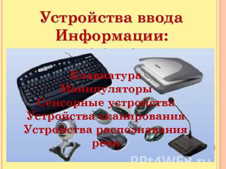 Устройства ввода Информации: Клавиатура Манипуляторы Сенсорные устройства Устройства сканирования Устройства распознавания речи 