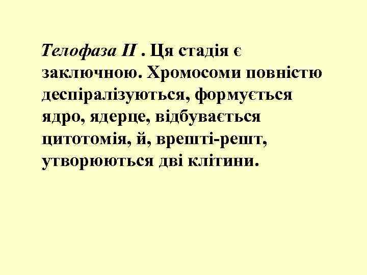 Телофаза II. Ця стадія є заключною. Хромосоми повністю деспіралізуються, формується ядро, ядерце, відбувається цитотомія,