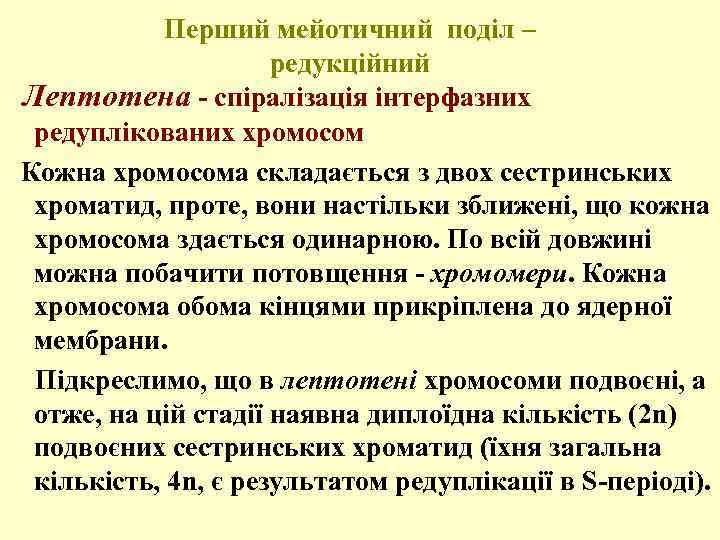 Перший мейотичний поділ – редукційний Лептотена - спіралізація інтерфазних редуплікованих хромосом Кожна хромосома складається