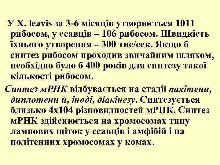  У X. leavis за 3 -6 місяців утворюється 1011 рибосом, у ссавців –